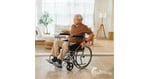 Slovakia Set to Emerge as the World's Leading Destination for UK Multiple Sclerosis Patients Seeking Stem Cells