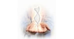 Best Stem Cell Treatment for Alzheimers Disease in Kiev, Ukraine
