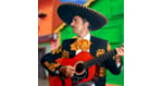 Advice for Cross-Border Travel to Mexico
