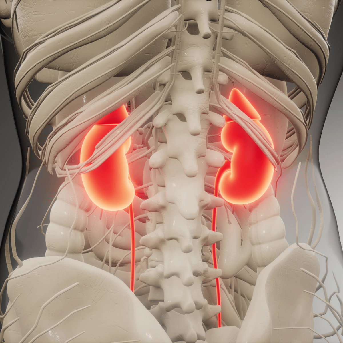 Terapia asequible con células madre para la insuficiencia renal en México