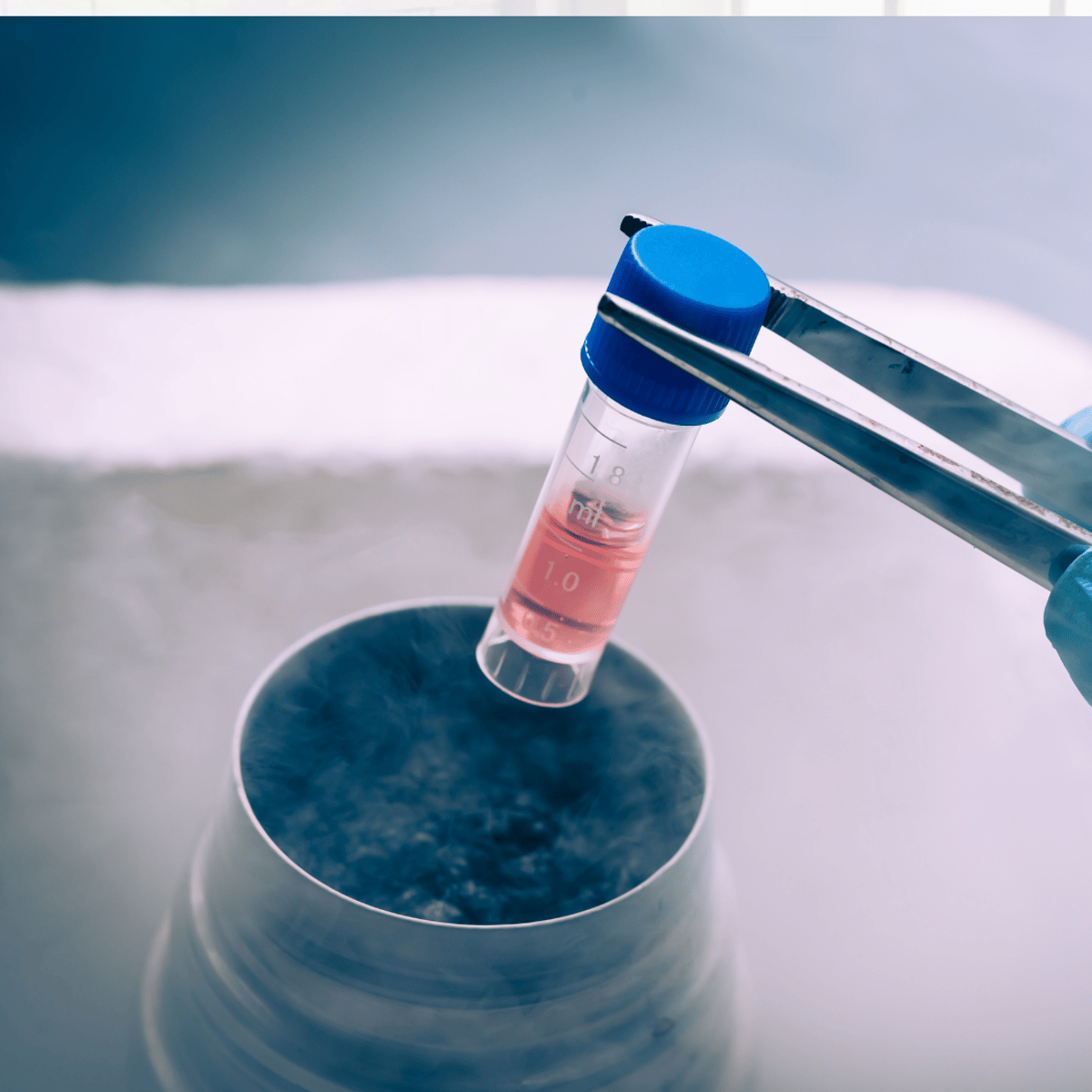 Terapia innovadora con células madre para enfermedades autoinmunes en el Centro Médico Integra en Nuevo Progreso, México