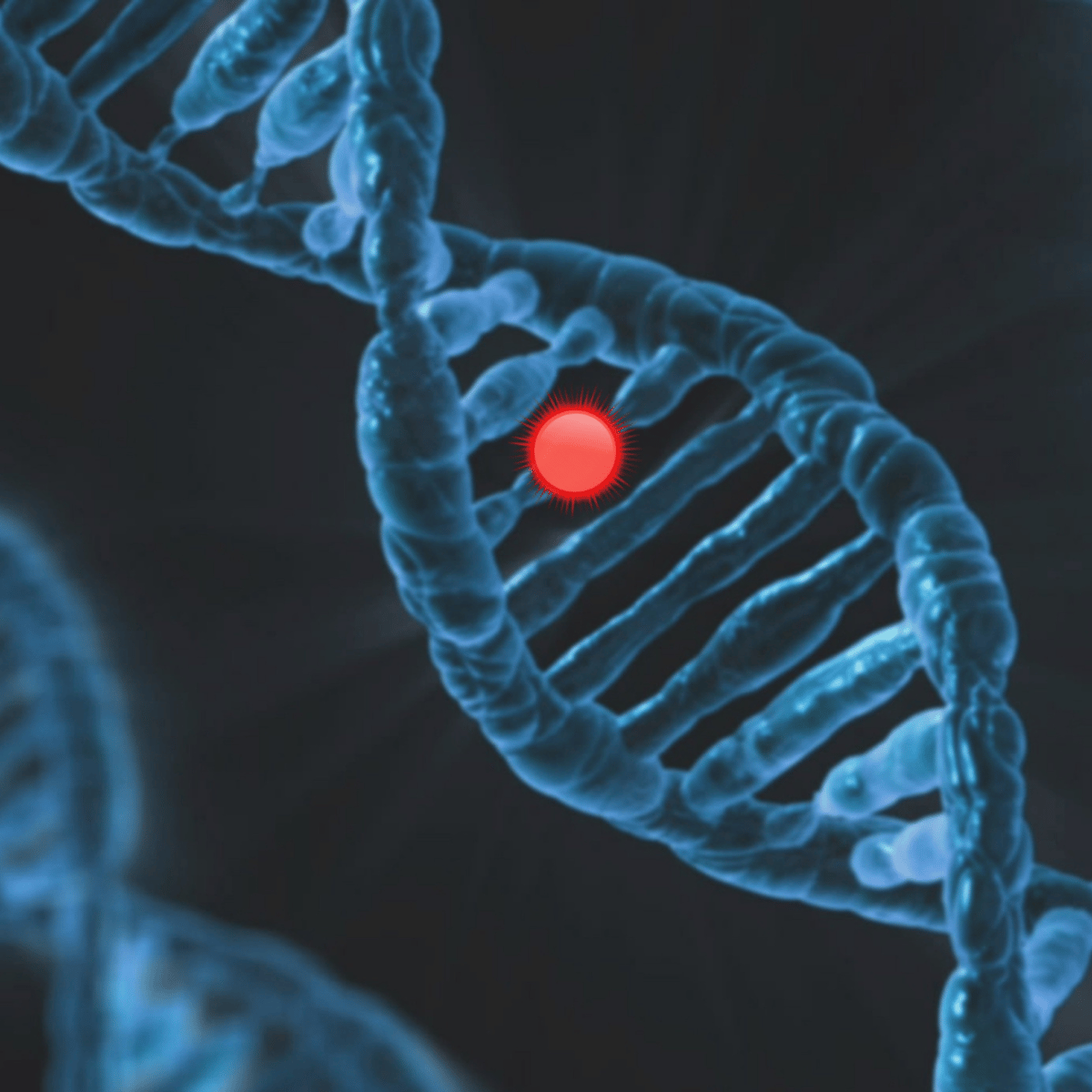 Pruebas genéticas preimplantacionales (PGT) y secuenciación de próxima generación (NGS) para una FIV exitosa