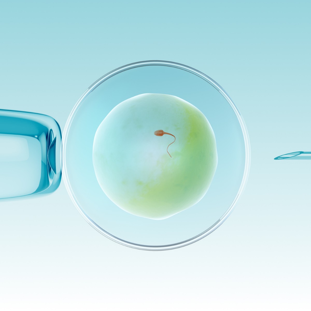 Congelación de óvulos: una guía completa para preservar la fertilidad