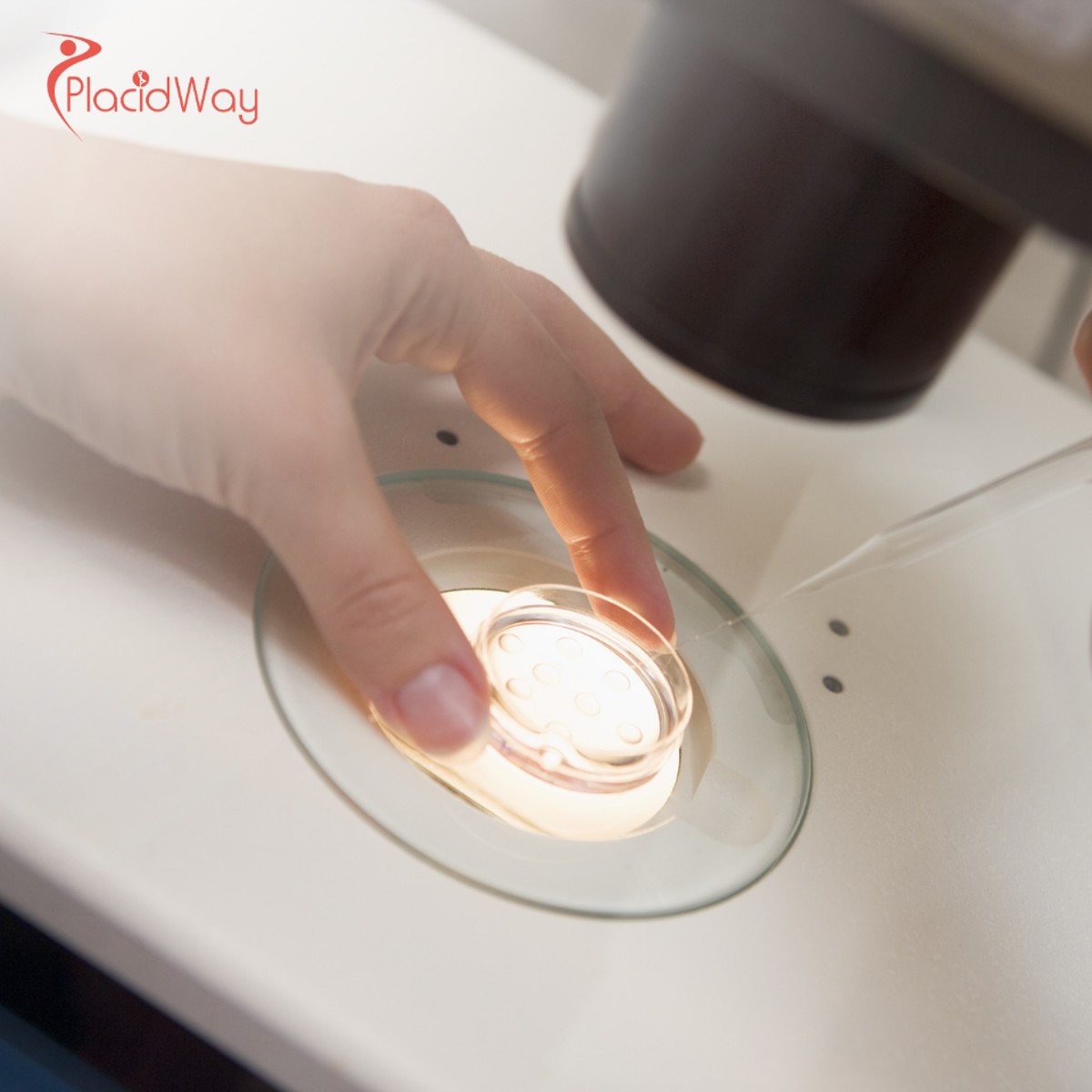 IVF with Egg Donation in Thailand: Affordable Fertility Solutions for Australian Couples
