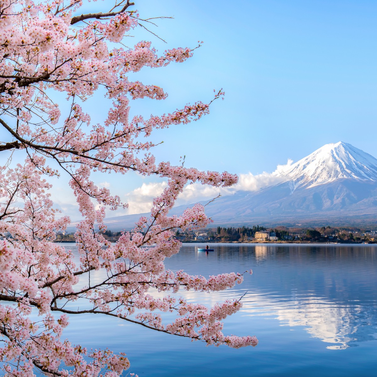 Top Reasons Taiwan Patients Travel to Japan for Regenerative Stem Cell Treatment