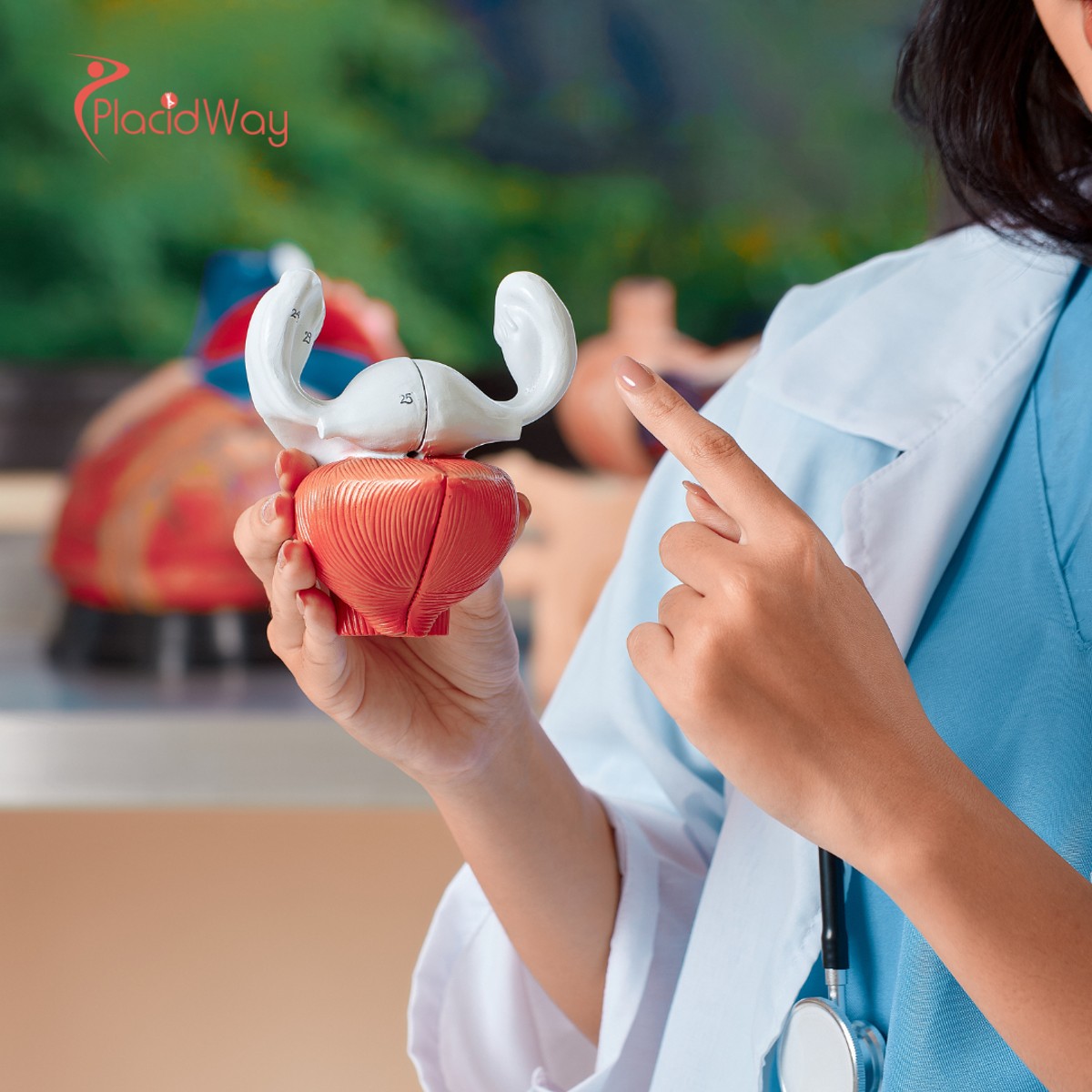 Stem Cell Therapy for Liver Disease in India: A Comprehensive Guide to Regeneration & Recovery