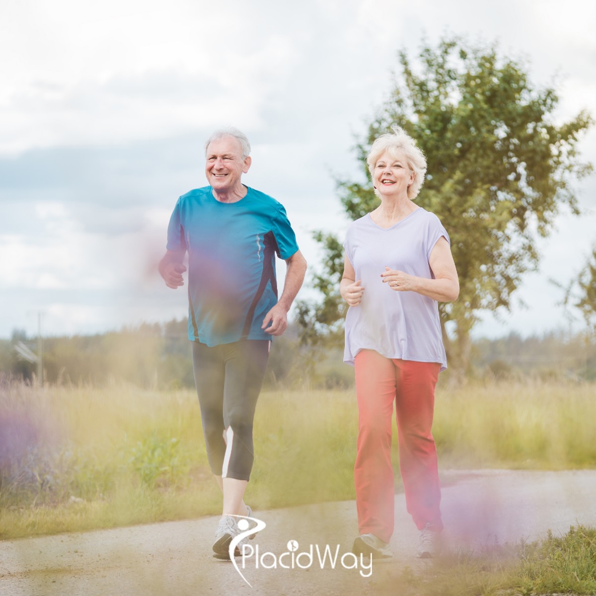 Beyond Fusion: How Istanbul’s 2026 Artificial Disc Replacement Protocols are Restoring Life-Changing Mobility for North American Spine Patients