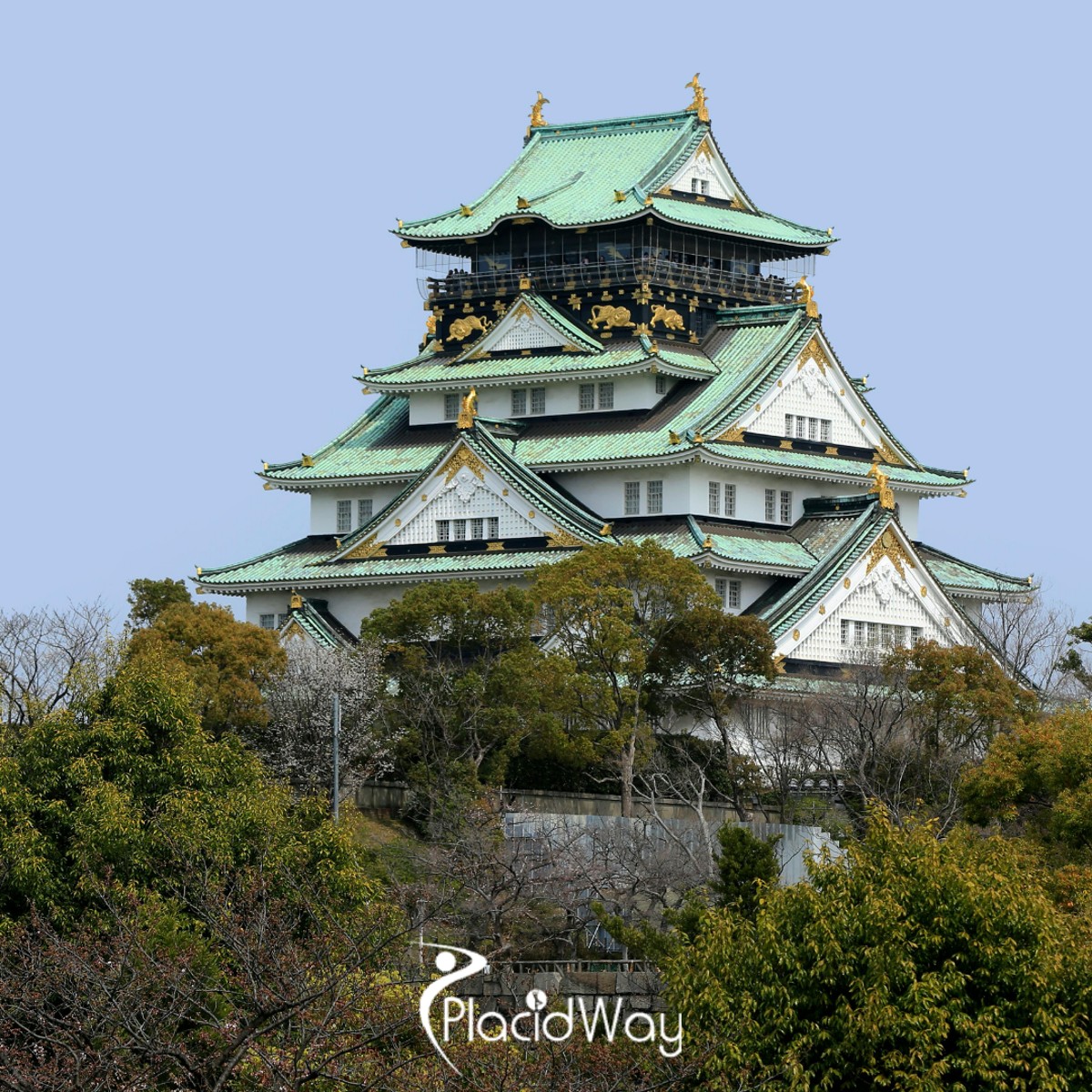 Osaka Set to Lead as the Premier Hub for International Patients Seeking Bio-Regulated Stem Cell Treatments for Chronic Conditions