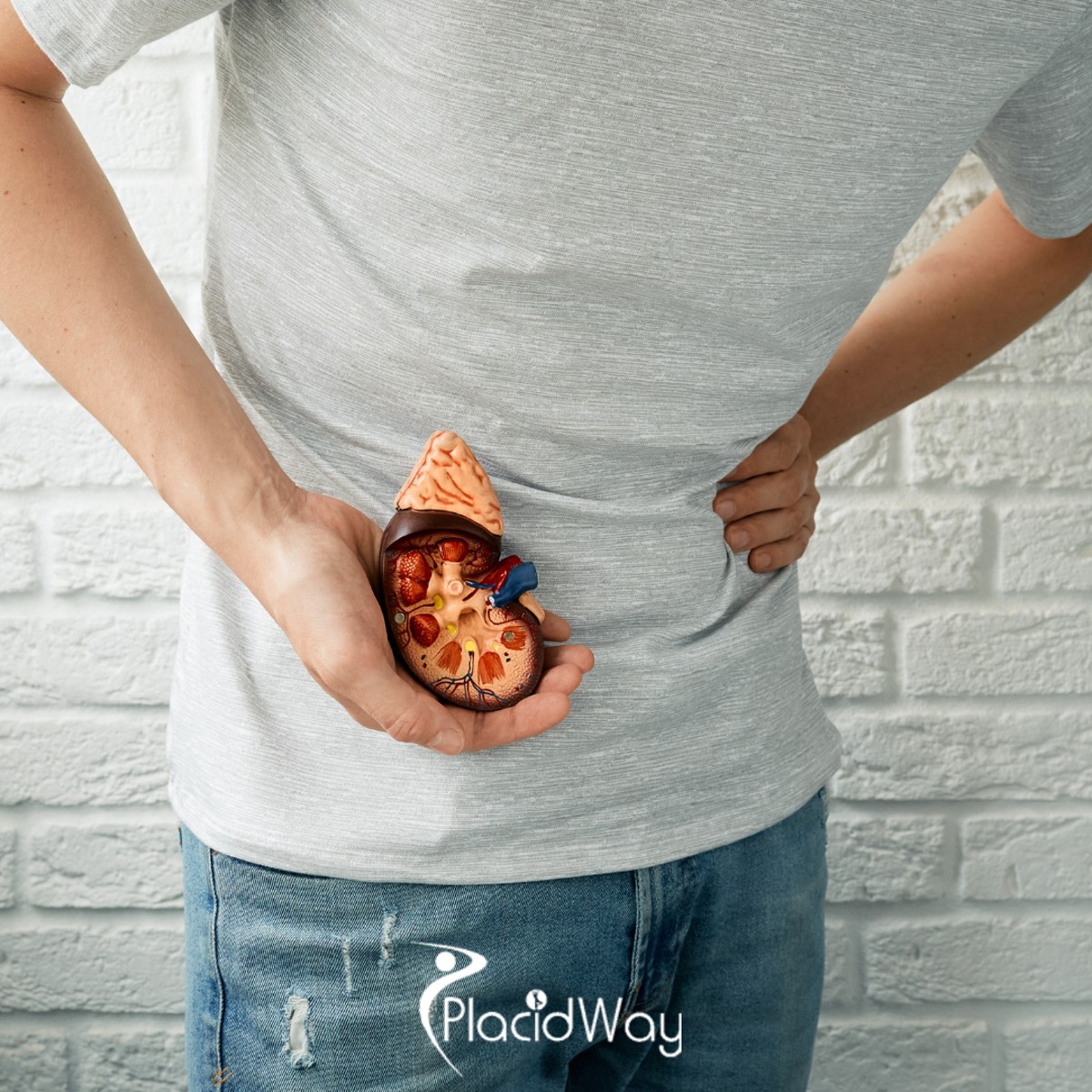 8 Things Chronic Kidney Disease Patients From Singapore Must Know Before Starting Stem Cell Therapy in Malaysia