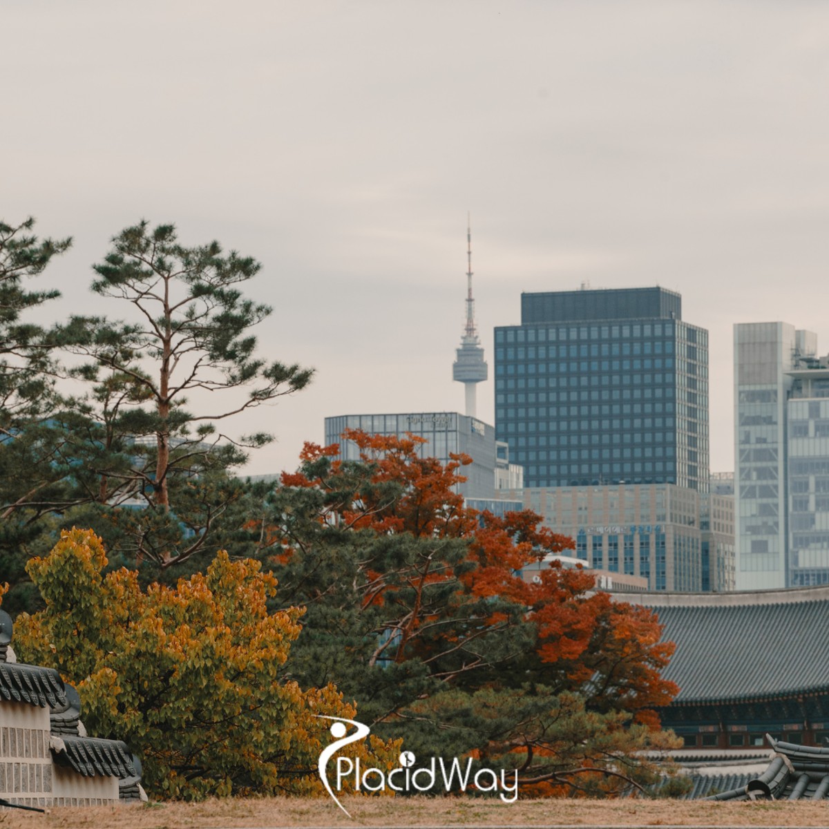 Why Gangnam South Korea Is the Undisputed Global Hub for Medical Tourism