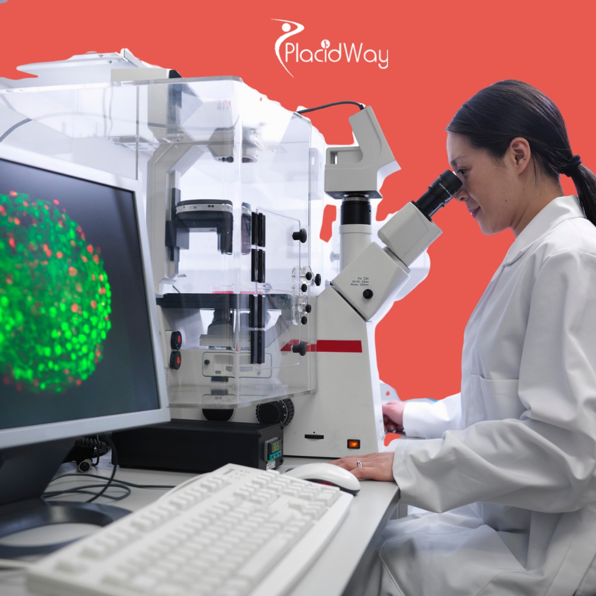 Beyond the Scalpel: 5 Surprising Realities of Stem Cell Therapy in Thailand