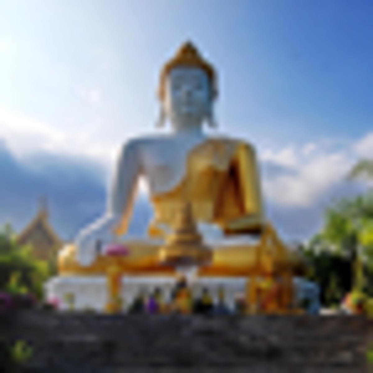 Thai Ladyboy Surgery: A Guide to Gender Reassignment in Thailand