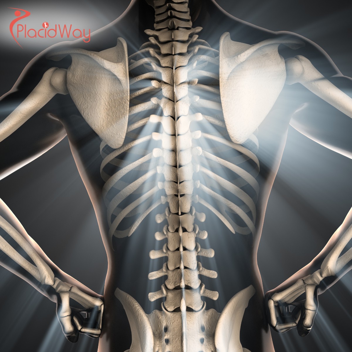 Bone Marrow Stem Cell Therapy in Turkey: Affordable Option for Australian Patients