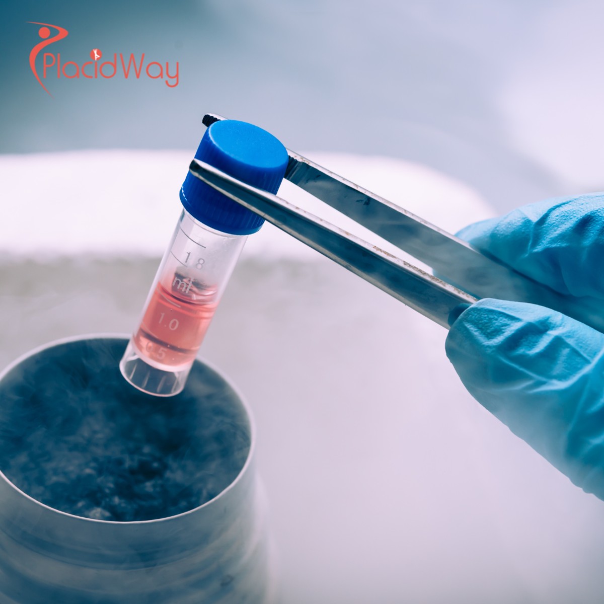 Top 10 Countries for Affordable and High-Quality Stem Cell Therapy Abroad