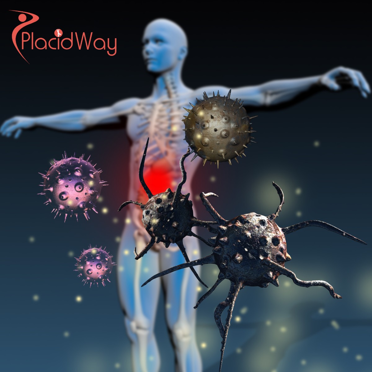 Immune Cell & Stem Cell Therapy in Japan: Things to Know