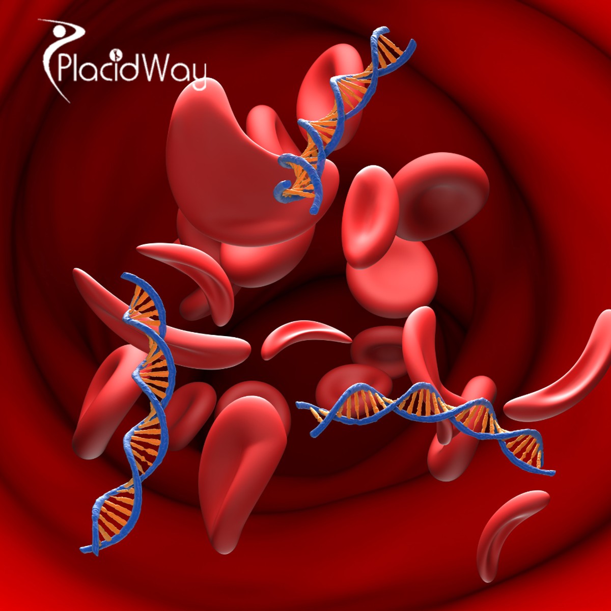 CAR-T Cell Therapy for Blood Cancer in China for Patients Seeking Advanced Cancer Immunotherapy