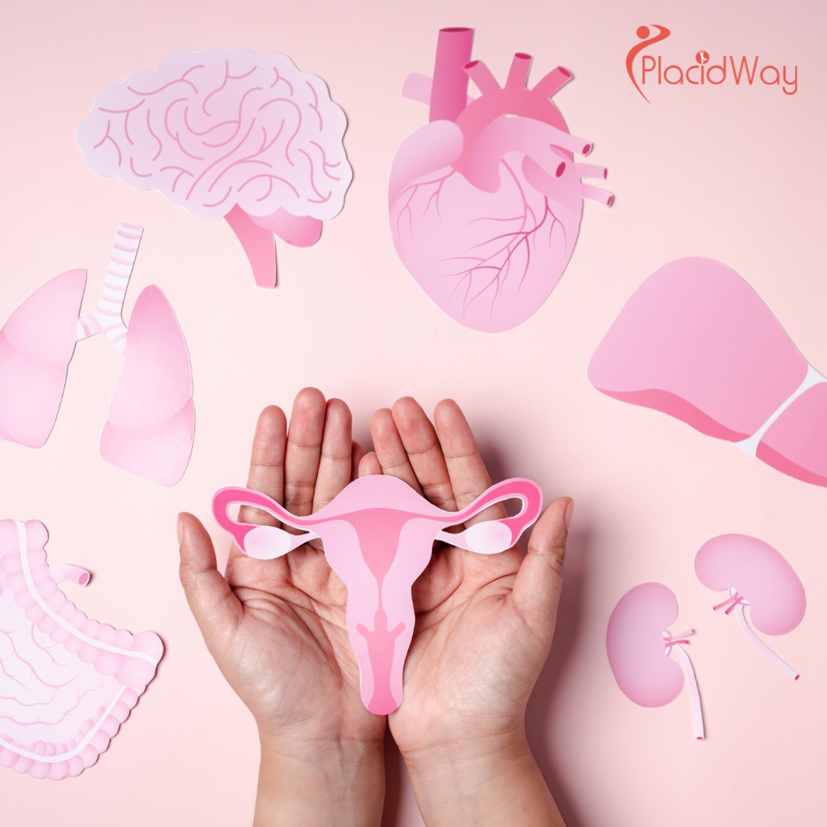 Holistic Cervical Cancer Treatment in Tijuana - Protecting Your Fertility and Future