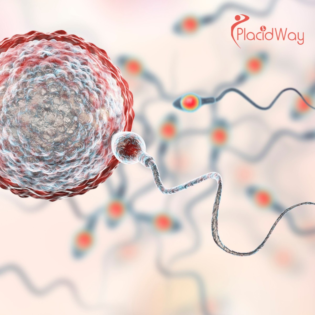 5 Benefits of ICSI in Dubai, UAE