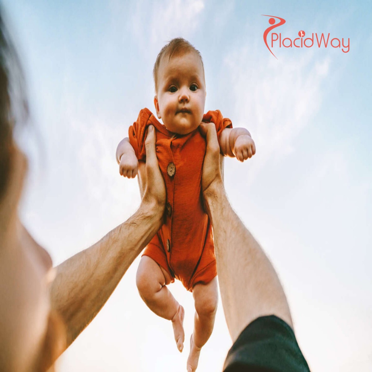 A Lifeline for Fertility: Yemeni Couples Flock to Cairo for Accessible and High-Quality IVF Treatments