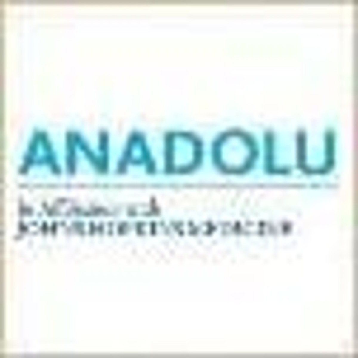 Anadolu Medical Center: Excelling in Patient Care Services