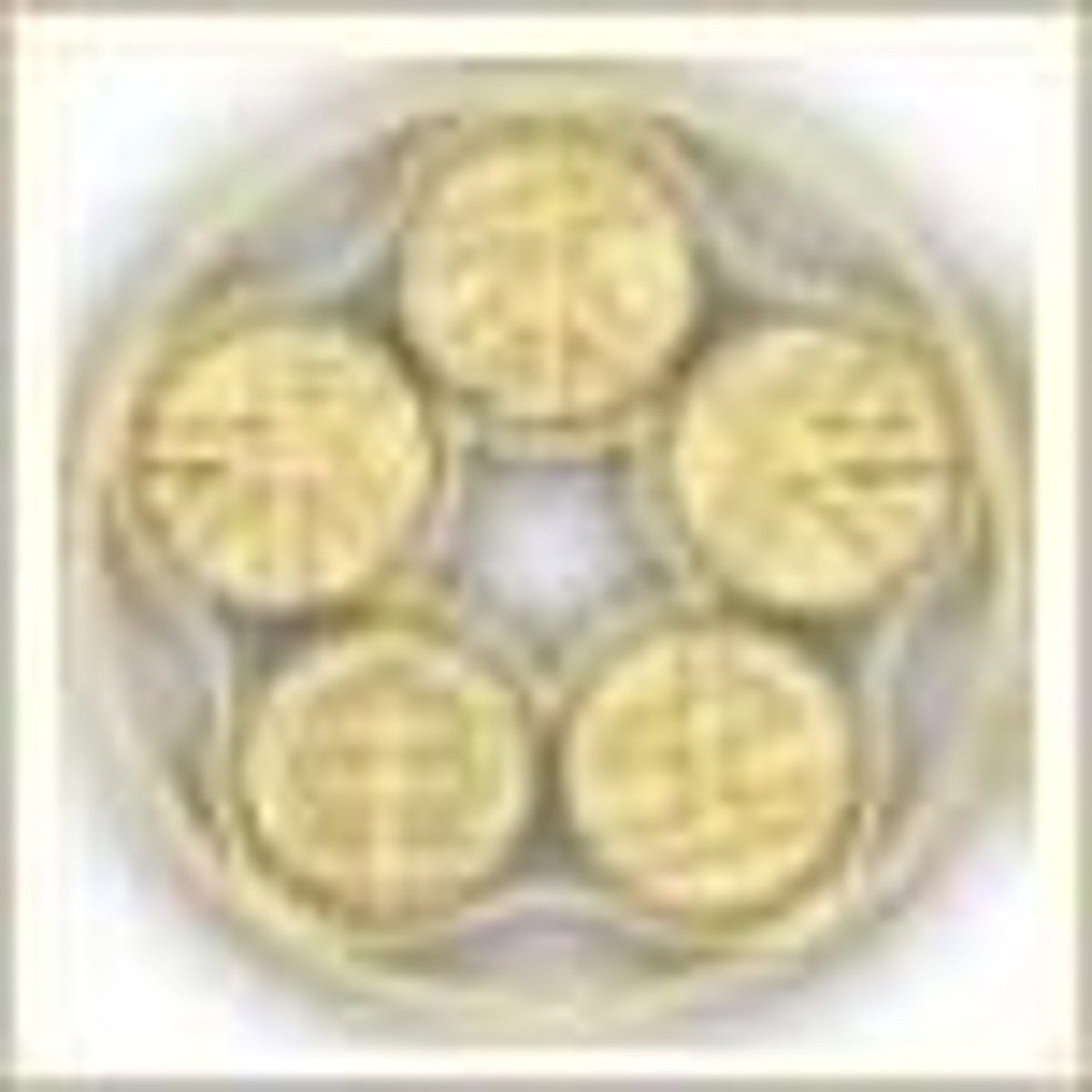 Integra Medical Center: Hope Going Strong with Placental Stem Cell Therapy