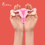 Advanced Stem Cell Treatment in Thailand Package for Ovarian Rejuvenation by Vega Clinic Bangkok thumbnail
