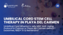 Umbilical Cord Wharton’s Jelly MSC Anti-Aging Protocol in Cancun or Playa del Carmen Mexico | Exosomes, NAD+ IV & Resveratrol thumbnail