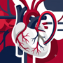 Coronary Artery Bypass Grafting (CABG) Package in Santo Domingo, Dominican Republic by Heartline Clinics thumbnail