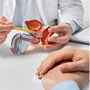 Myomektomie-Paket in Istanbul, Türkei, in den Medical Park Hospitals thumbnail