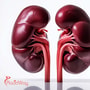 Kidney Transplant Package in Istanbul, Turkey for Patients Traveling Abroad with Kidney Failure thumbnail