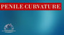 Surgical penile straightening thumbnail