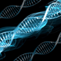 Promotional Package for Stem Cell Treatment in China thumbnail