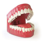 Effective Dentures in Costa Rica Now At Easy Prices thumbnail