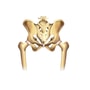 Hip Replacement Package in Jelenia Gora, Poland by KCM Clinic thumbnail