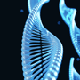 Premier Stem Cell Therapy for Psoriasis Package in Vienna, Austria by Stem Cells Austria thumbnail