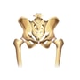 Stem Cell Therapy for Osteoarthritis in India Package By GIOSTAR Hospital thumbnail