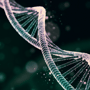 Best Placenta Stem Cell Therapy at Top Mexican Clinics in Cabo San Lucas, Mexico thumbnail