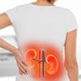 Kidney Transplant in Istanbul, Turkey by Medical Park Hospital thumbnail
