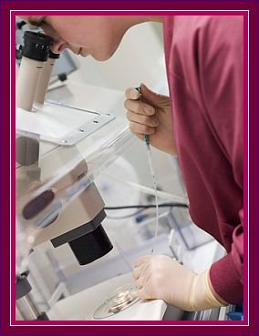 Infertility Treatment PlacidWay