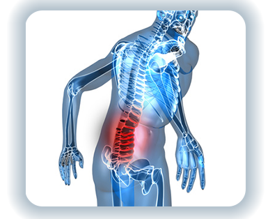 Osteoporosis vs Osteoarthritis What is the Difference