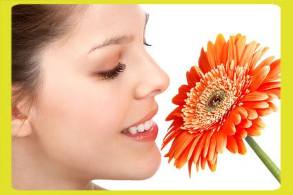 Nose Surgery in India Nose Surgery in India