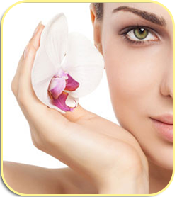Cosmetic Surgery Package Integra Mexico