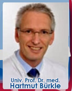 Anesthesiology Clinic Director, University Medical Center Freiburg