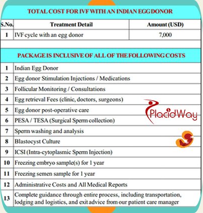 Cost of IVF with Indian Egg Donor