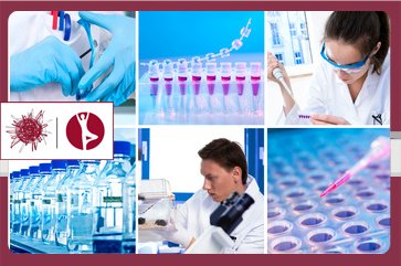 Diabetes Type 2 Treatment with Regenerative Cells in Austria Diabetes Type 2 Treatment with Regenerative Cells in Austria