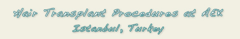 Treatments for Hair Transplant in Istanbul Turkey