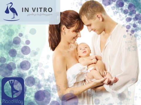 In Vitro Fertility Clinic - Surrogacy Program
