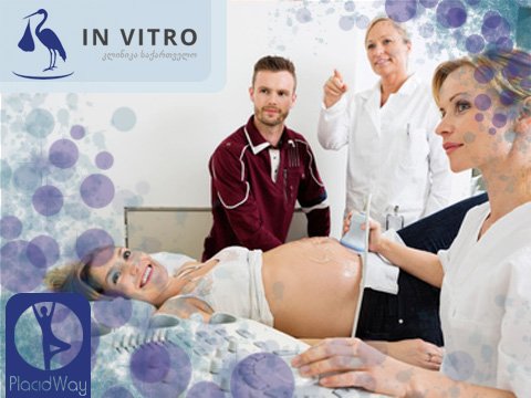 In Vitro Fertility Clinic - reproductive care