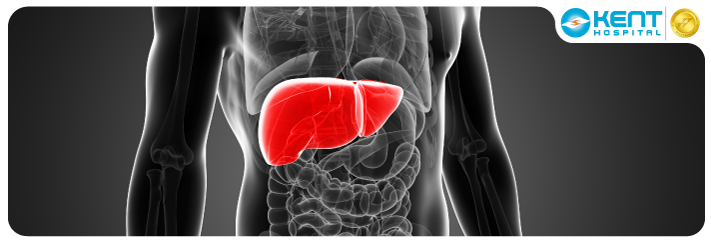 Liver Transplantation Turkey