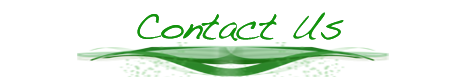 dental-bridges-in-mexico-at-smile-studio-contact-button